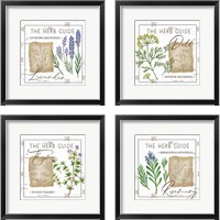 Framed 'Herb Guide 4 Piece Framed Art Print Set' border=