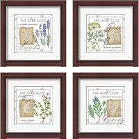 Framed 'Herb Guide 4 Piece Framed Art Print Set' border=