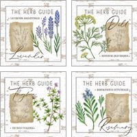 Framed 'Herb Guide 4 Piece Art Print Set' border=