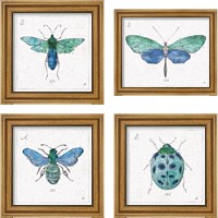 Framed 'Outdoor Beauties 4 Piece Framed Art Print Set' border=