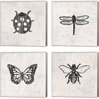 Framed 'Insect Stamp BW 4 Piece Canvas Print Set' border=