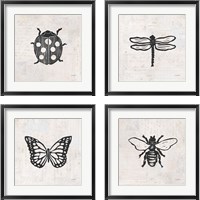 Framed 'Insect Stamp BW 4 Piece Framed Art Print Set' border=