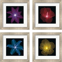 Framed 'Clematis 4 Piece Framed Art Print Set' border=