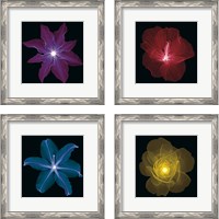 Framed 'Clematis 4 Piece Framed Art Print Set' border=