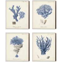 Framed 'Antique Coral in Navy 4 Piece Canvas Print Set' border=