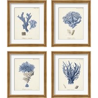 Framed 'Antique Coral in Navy 4 Piece Framed Art Print Set' border=