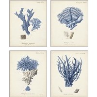 Framed 'Antique Coral in Navy 4 Piece Art Print Set' border=