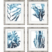 Framed 'Inkwash Kelp 4 Piece Framed Art Print Set' border=