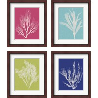 Framed 'Seaweed Pop 4 Piece Framed Art Print Set' border=