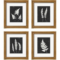 Framed 'Forest Shadows Black 4 Piece Framed Art Print Set' border=