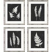 Framed 'Forest Shadows Black 4 Piece Framed Art Print Set' border=