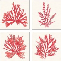 Framed 'Pacific Sea Mosses Red 4 Piece Art Print Set' border=