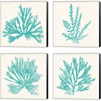 Framed 'Pacific Sea Mosses Aqua 4 Piece Canvas Print Set' border=