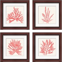 Framed 'Pacific Sea Mosses Coral 4 Piece Framed Art Print Set' border=