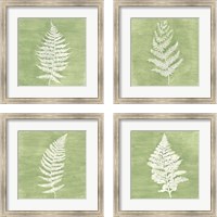 Framed 'Forest Ferns 4 Piece Framed Art Print Set' border=