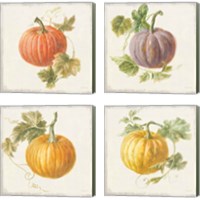 Framed 'Floursack Autumn 4 Piece Canvas Print Set' border=