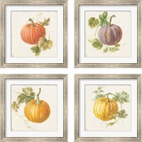 Framed 'Floursack Autumn 4 Piece Framed Art Print Set' border=