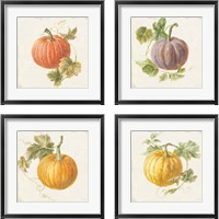 Framed 'Floursack Autumn 4 Piece Framed Art Print Set' border=