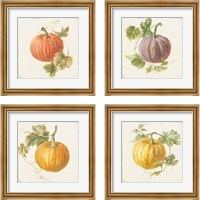 Framed 'Floursack Autumn 4 Piece Framed Art Print Set' border=