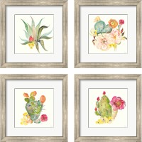 Framed 'Succulent Desert 4 Piece Framed Art Print Set' border=