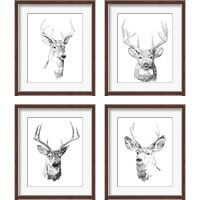 Framed 'Young Buck Sketch 4 Piece Framed Art Print Set' border=