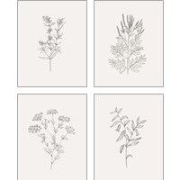 Framed 'Wild Foliage Sketch 4 Piece Art Print Set' border=