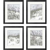 Framed 'Lush Dunes 4 Piece Framed Art Print Set' border=