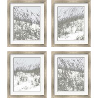 Framed 'Lush Dunes 4 Piece Framed Art Print Set' border=