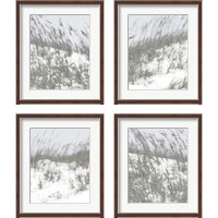 Framed 'Lush Dunes 4 Piece Framed Art Print Set' border=