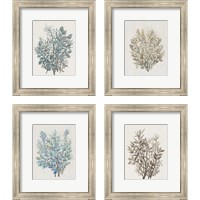 Framed 'Leaf Arrangement 4 Piece Framed Art Print Set' border=