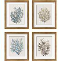 Framed 'Leaf Arrangement 4 Piece Framed Art Print Set' border=