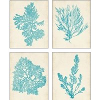 Framed 'Aquamarine Seaweed 4 Piece Art Print Set' border=