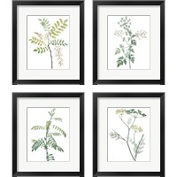 Framed 'Soft Green Botanical 4 Piece Framed Art Print Set' border=