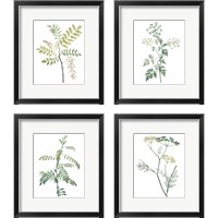 Framed 'Soft Green Botanical 4 Piece Framed Art Print Set' border=