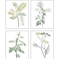 Framed 'Soft Green Botanical 4 Piece Art Print Set' border=