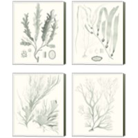 Framed 'Sage Green Seaweed 4 Piece Canvas Print Set' border=