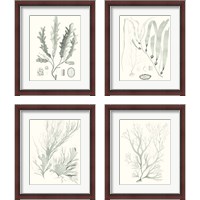 Framed 'Sage Green Seaweed 4 Piece Framed Art Print Set' border=