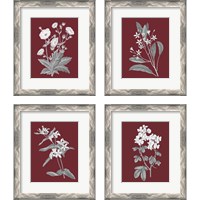 Framed 'Pomegranate Botanical 4 Piece Framed Art Print Set' border=