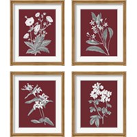 Framed 'Pomegranate Botanical 4 Piece Framed Art Print Set' border=