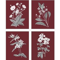 Framed 'Pomegranate Botanical 4 Piece Art Print Set' border=