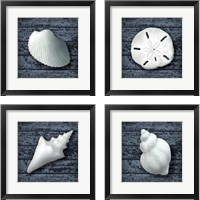 Framed 'Seashore Shells Navy 4 Piece Framed Art Print Set' border=