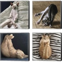 Framed 'Cat Yoga 4 Piece Canvas Print Set' border=