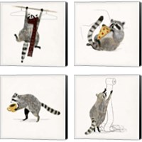 Framed 'Rascally Raccoon 4 Piece Canvas Print Set' border=