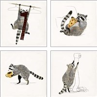 Framed 'Rascally Raccoon 4 Piece Art Print Set' border=