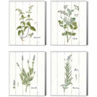 Framed 'Cottage Herbs 4 Piece Canvas Print Set' border=