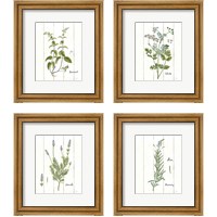 Framed 'Cottage Herbs 4 Piece Framed Art Print Set' border=