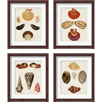 Framed 'Knorr Shells 4 Piece Framed Art Print Set' border=