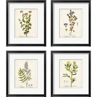 Framed 'Antique Herb Botanical 4 Piece Framed Art Print Set' border=