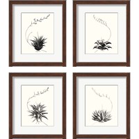 Framed 'Graphic Succulents 4 Piece Framed Art Print Set' border=