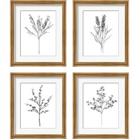 Framed 'Field Flower 4 Piece Framed Art Print Set' border=